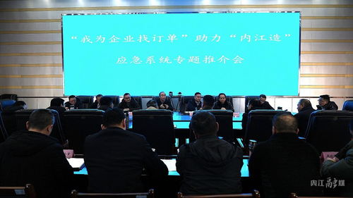 内江市应急管理局以信息技术咨询服务为桥梁，助力“内江造”应急系统产品开拓市场